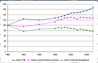 Figure 1: Primary energy intensity in Belgium, 1980-2007