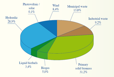 Figure 4: Primary generation of renewable energy in Belgium (2007).