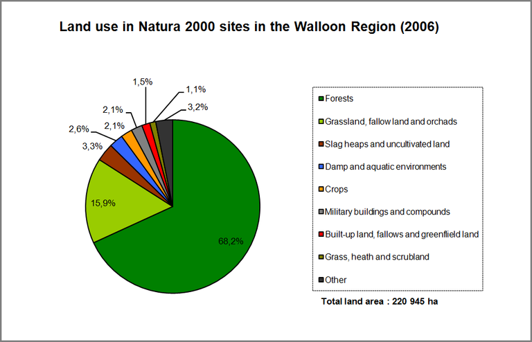 Figure 16: Land use in Natura 2000 sites in the Walloon Region (2006)