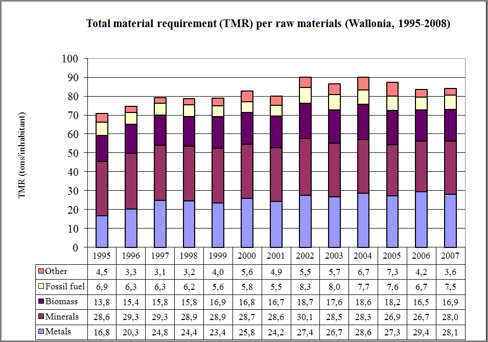 Figure 12: The Total Material Requirement (TMR) by raw material in the Walloon Region (1995 - 2007)