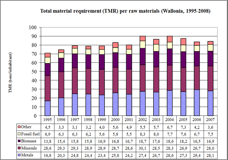 Figure 12: The Total Material Requirement (TMR) by raw material in the Walloon Region (1995 - 2007)